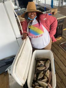 White Bass Fishing in Ray Hubbard Lake